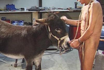 зоосекс с ослом